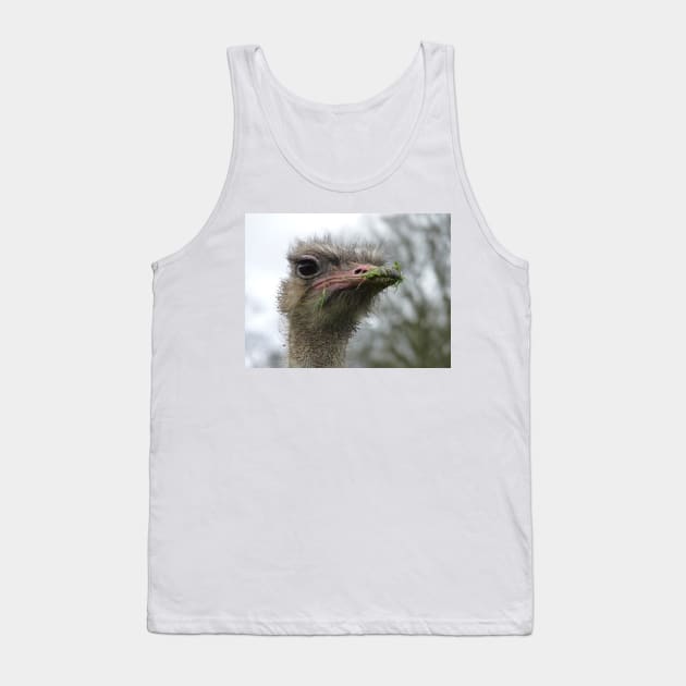 What you lookin' at ? #1 Tank Top by acespace